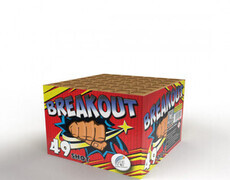 Absolute Cakes £30 to £50 : BREAKOUT