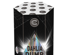 Celtic Cakes £15 to £30 : DHALIA DUMP Celtic Cakes £15 to £30 : DHALIA DUMP