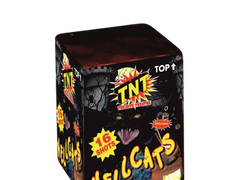 TNT Cakes up to £15 : HELLCATS TNT Cakes up to £15 : HELLCATS