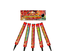 Dynamic Roman Candles : MEGATON BOMBS Dynamic Roman Candles : MEGATON BOMBS